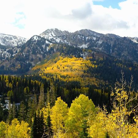 Cottonwood Heights - Lower Level Of Mountain Home! Luaran gambar