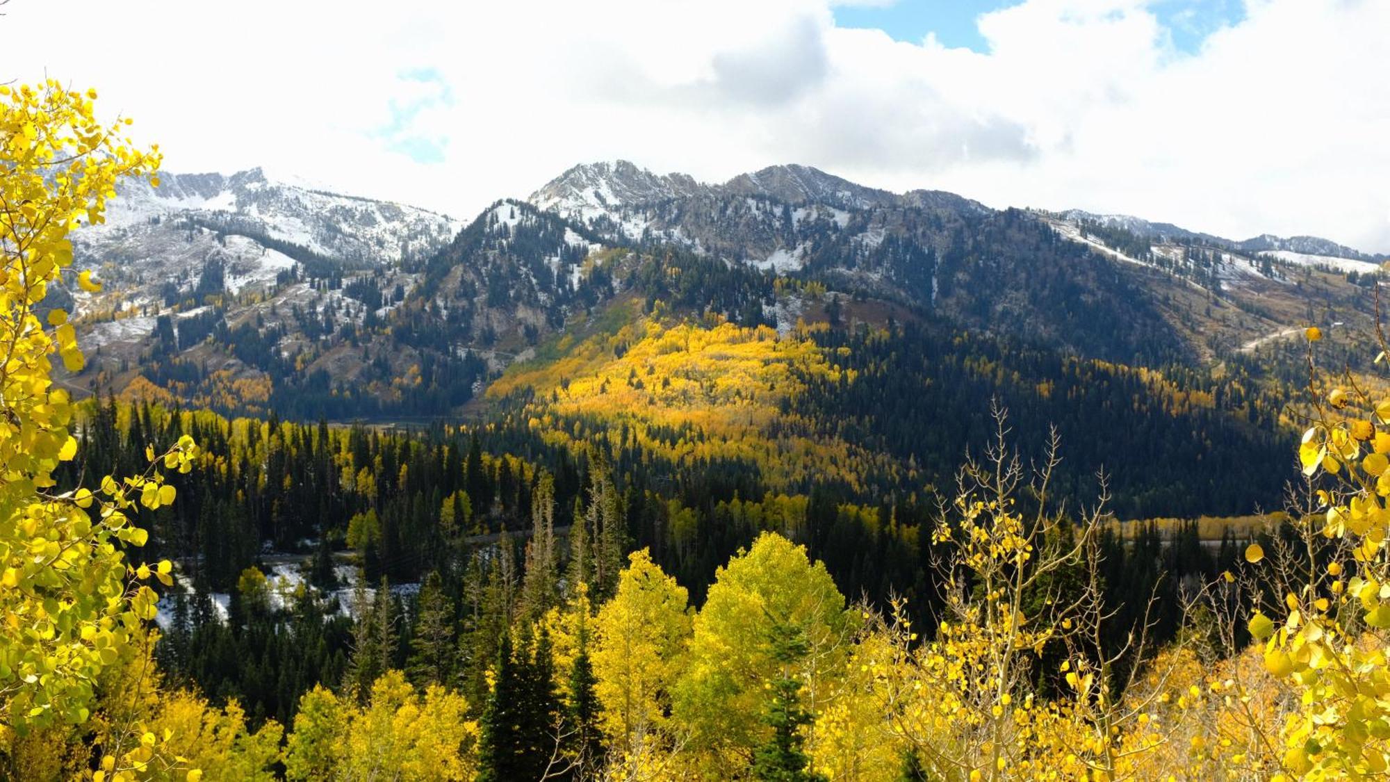Cottonwood Heights - Lower Level Of Mountain Home! Luaran gambar